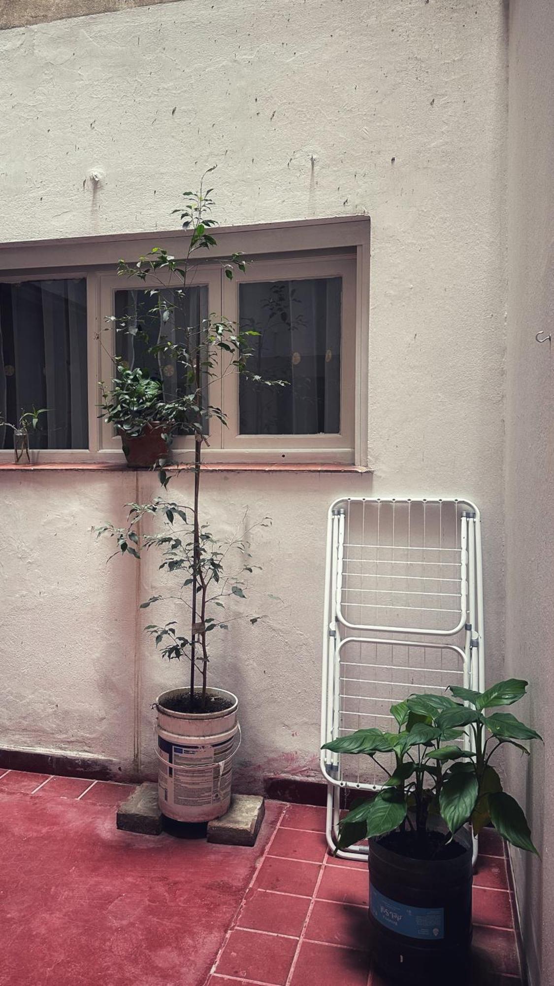 El Oasis Apartment Mendoza Ngoại thất bức ảnh
